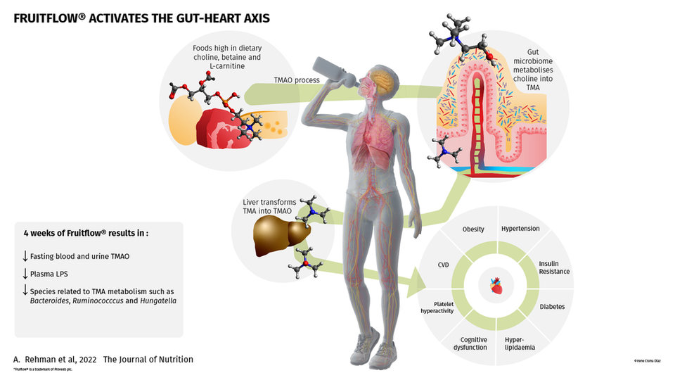 Company profile - Atlantia Clinical Trials - AgroFOOD Industry Hi Tech  34(1) 2023